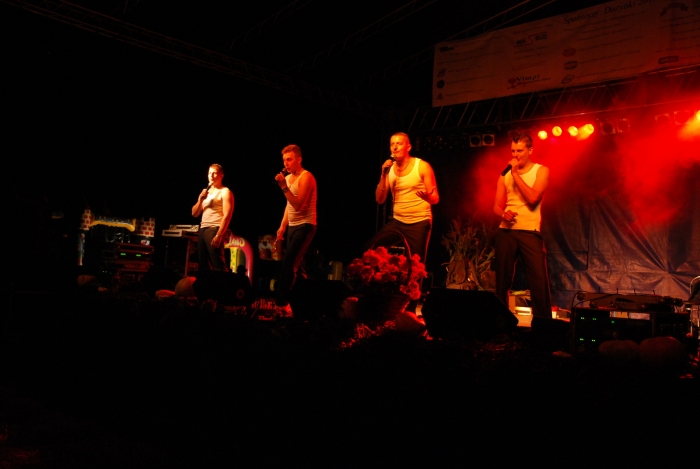 Powiatowe Dożynki 2013 - fotoreportaż