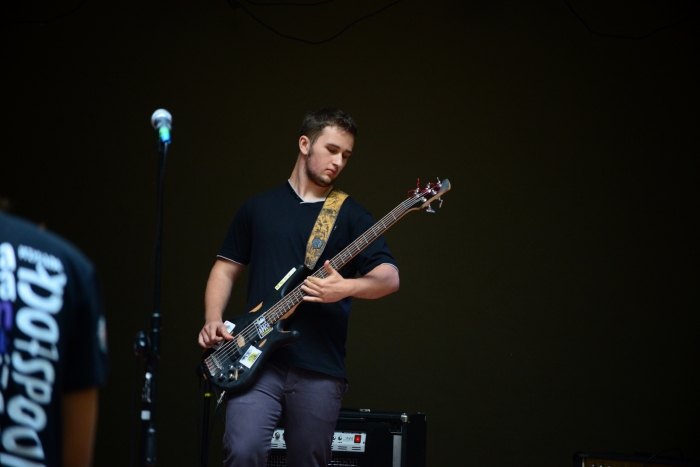 LIPA 2013 - fotoreportaż