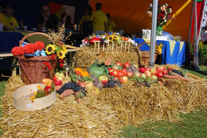 Dożynki wojewódzkie w Rypinie - fotoreportaż