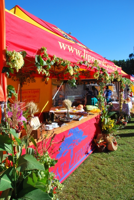Dożynki wojewódzkie w Rypinie - fotoreportaż