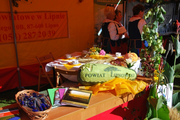 Dożynki wojewódzkie w Rypinie - fotoreportaż