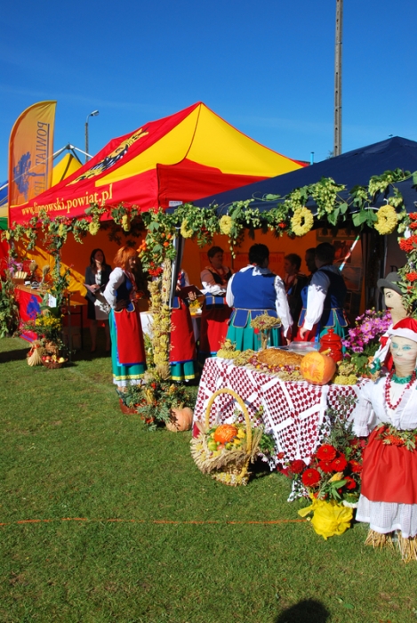 Dożynki wojewódzkie w Rypinie - fotoreportaż