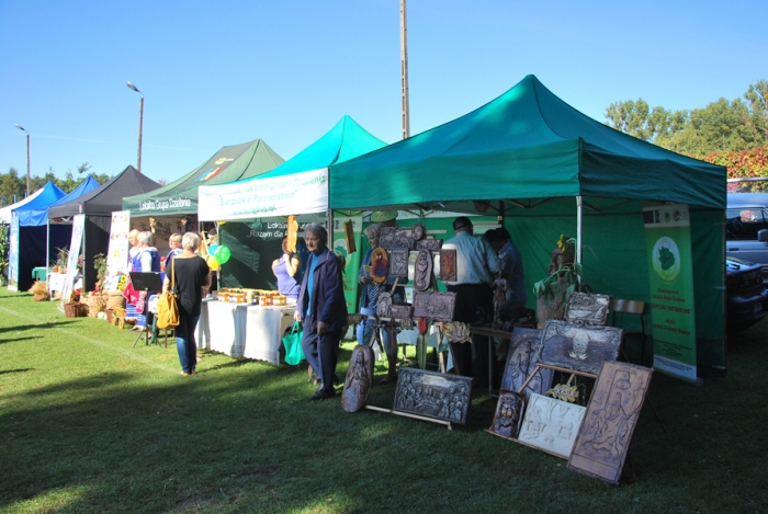 Dożynki wojewódzkie w Rypinie - fotoreportaż