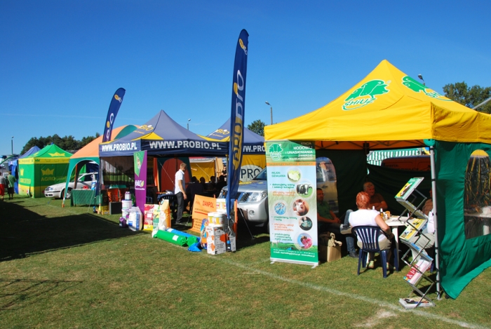 Dożynki wojewódzkie w Rypinie - fotoreportaż