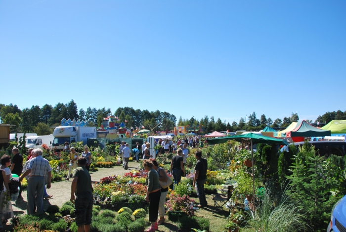 Dożynki wojewódzkie w Rypinie - fotoreportaż
