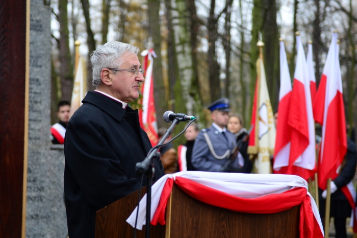 Wspominaliśmy odzyskanie niepodległości! - fotoreportaż