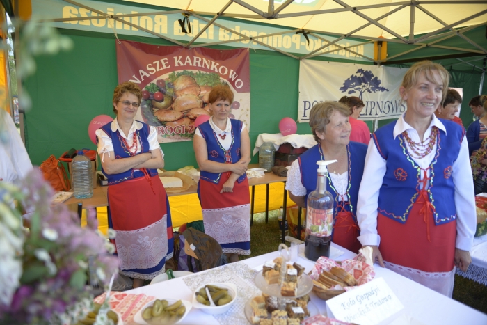 Zobacz zdjęcia z festiwalu Wilkowyjce!