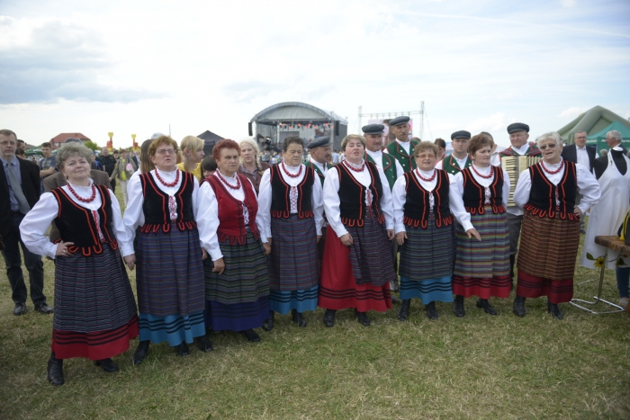 Zobacz zdjęcia z festiwalu Wilkowyjce!
