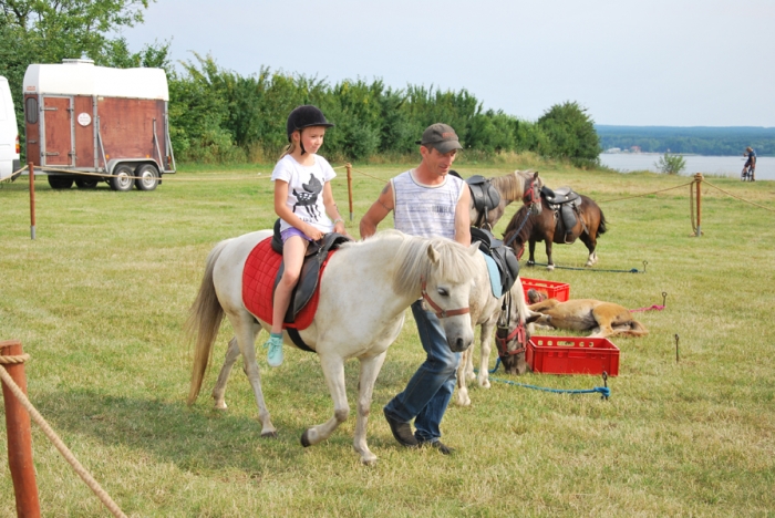 Zmagania sołtysów z całego powiatu - fotoreportaż