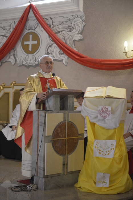 Obchody święta Wojska Polskiego - fotoreportaż