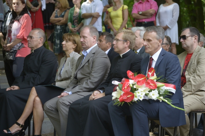 Obchody święta Wojska Polskiego - fotoreportaż