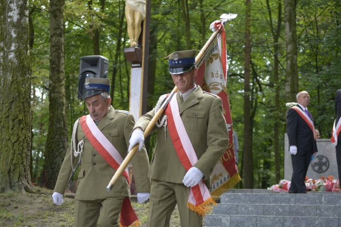 Obchody święta Wojska Polskiego - fotoreportaż