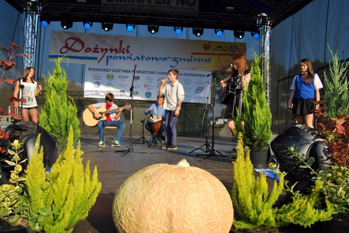 Tak było na Dożynkach powiatowo - gminnych! [foto]