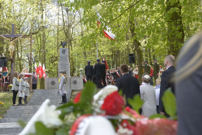 Obchody 3-majowe w Lipnie [Foto]