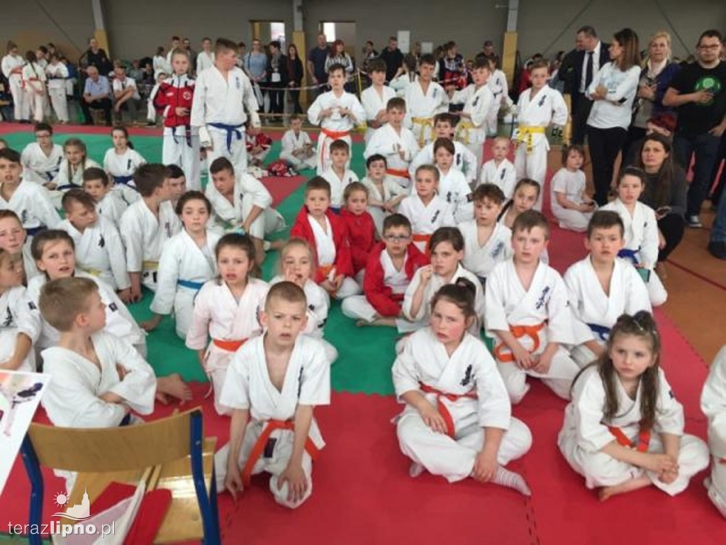 Ogólnopolski turniej karate w Lipnie