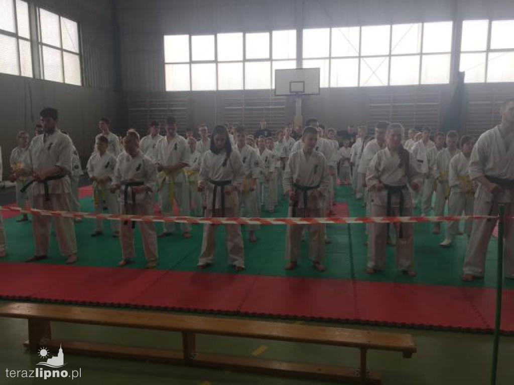 Ogólnopolski turniej karate w Lipnie