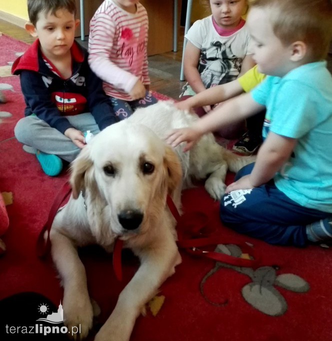 Dzień Dziecka w Przedszkolu w Parku