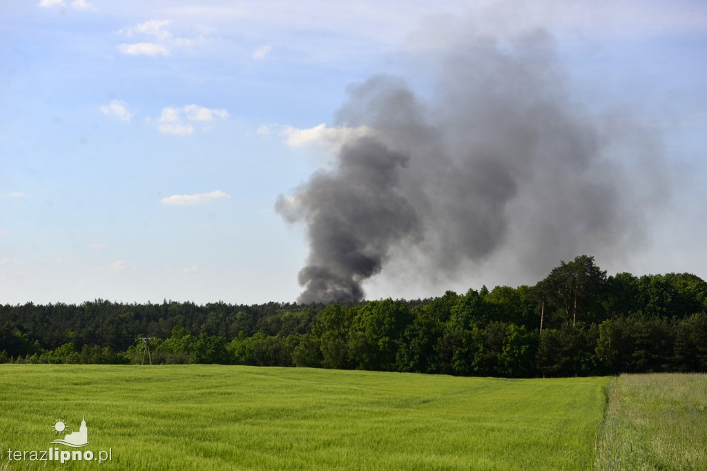 Pożar śmieci na składowisku odpadów