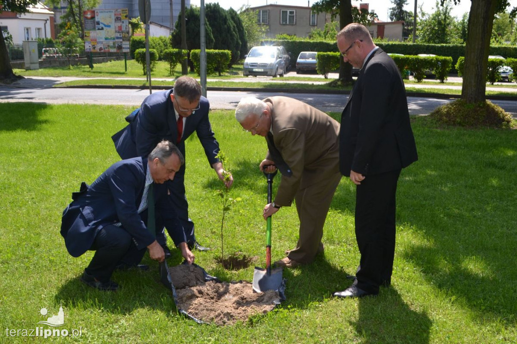 Drzewa na stulecie Niepodległości