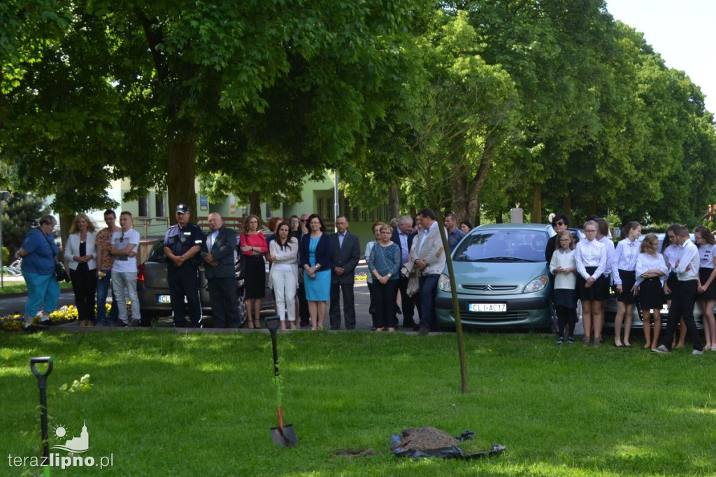 Drzewa na stulecie Niepodległości