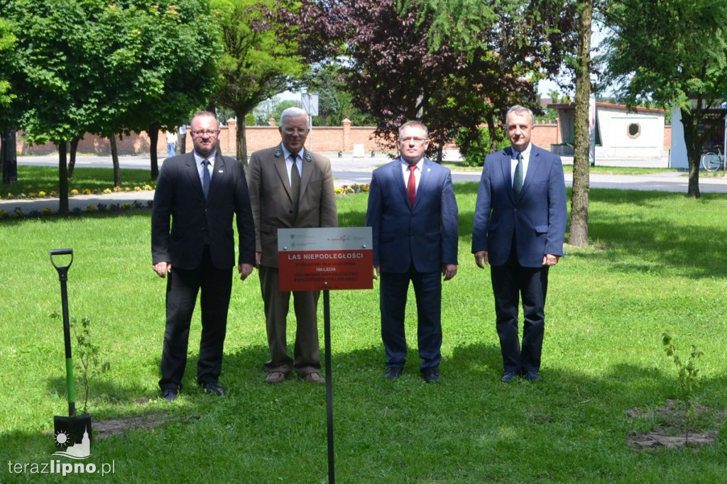 Drzewa na stulecie Niepodległości