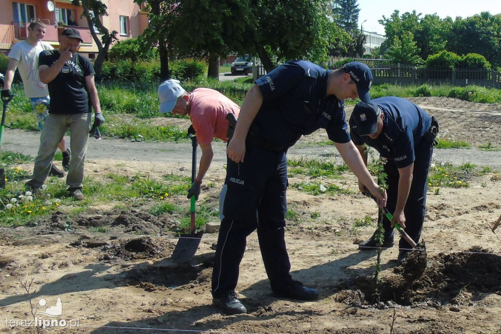Drzewa na stulecie Niepodległości