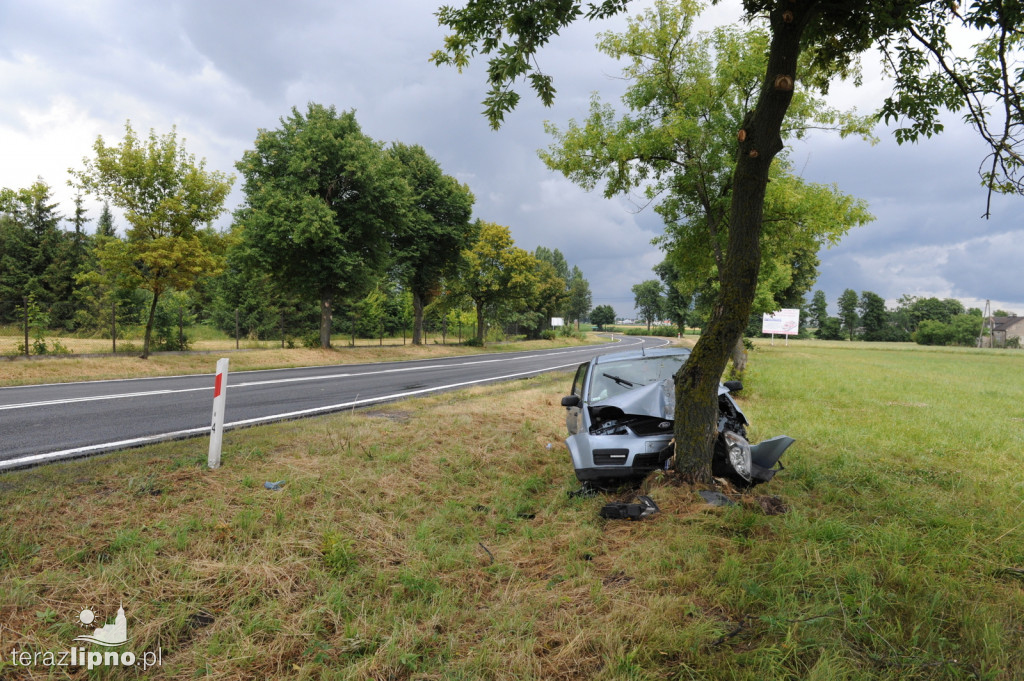 Groźne zdarzenie w Białowieżynie