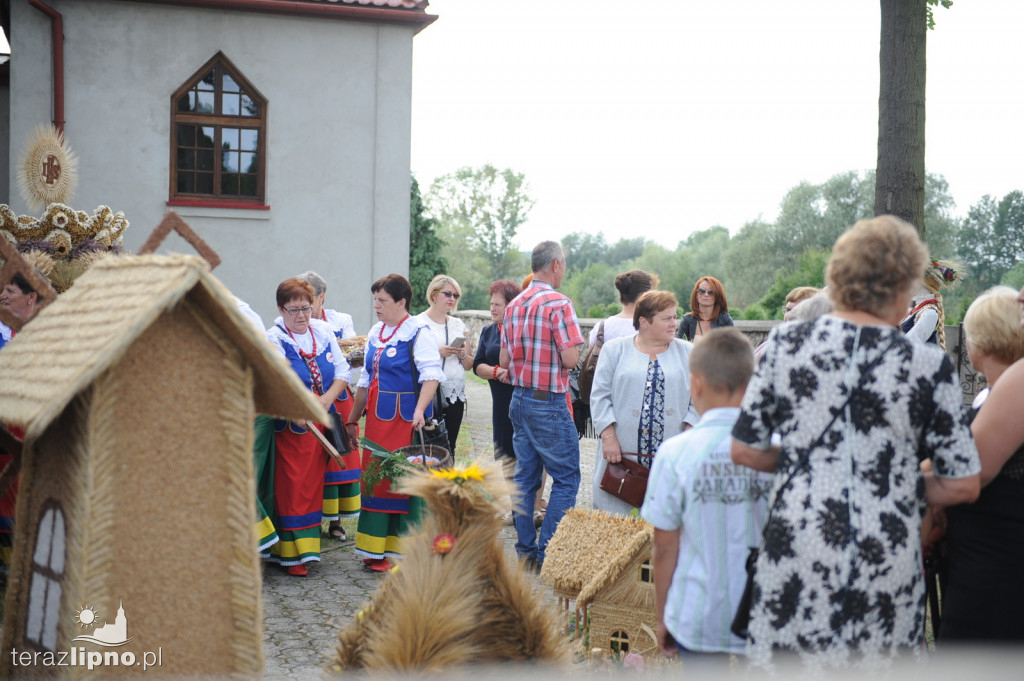 Powiatowe dożynki w Bobrownikach
