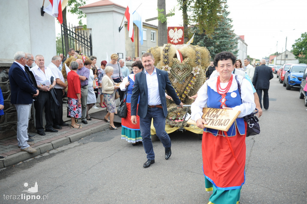 Powiatowe dożynki w Bobrownikach