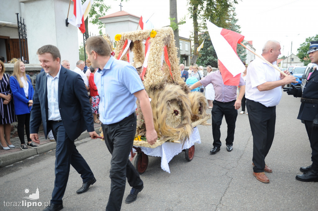 Powiatowe dożynki w Bobrownikach