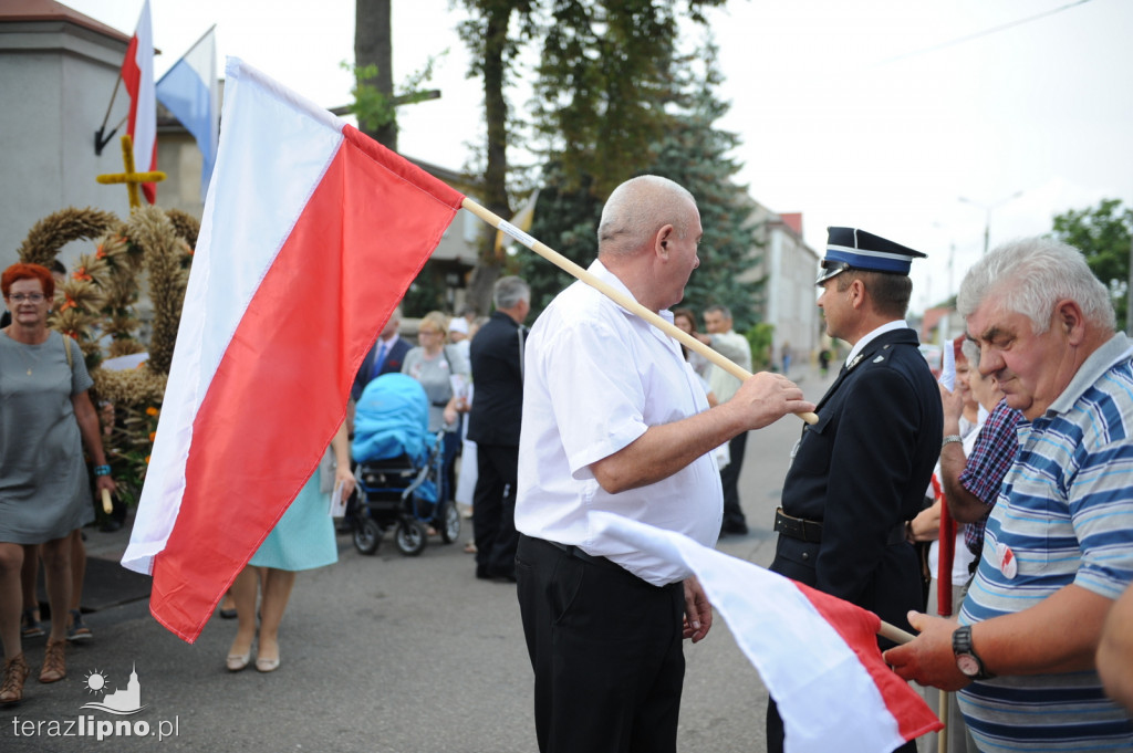 Powiatowe dożynki w Bobrownikach