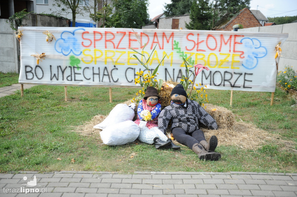 Powiatowe dożynki w Bobrownikach