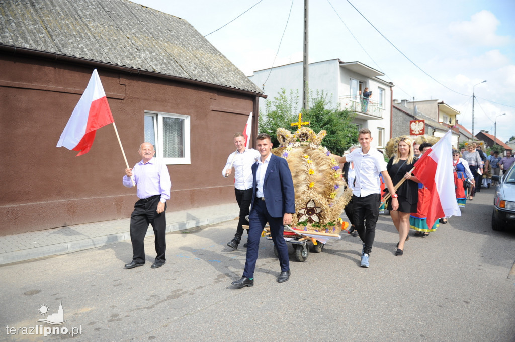 Powiatowe dożynki w Bobrownikach