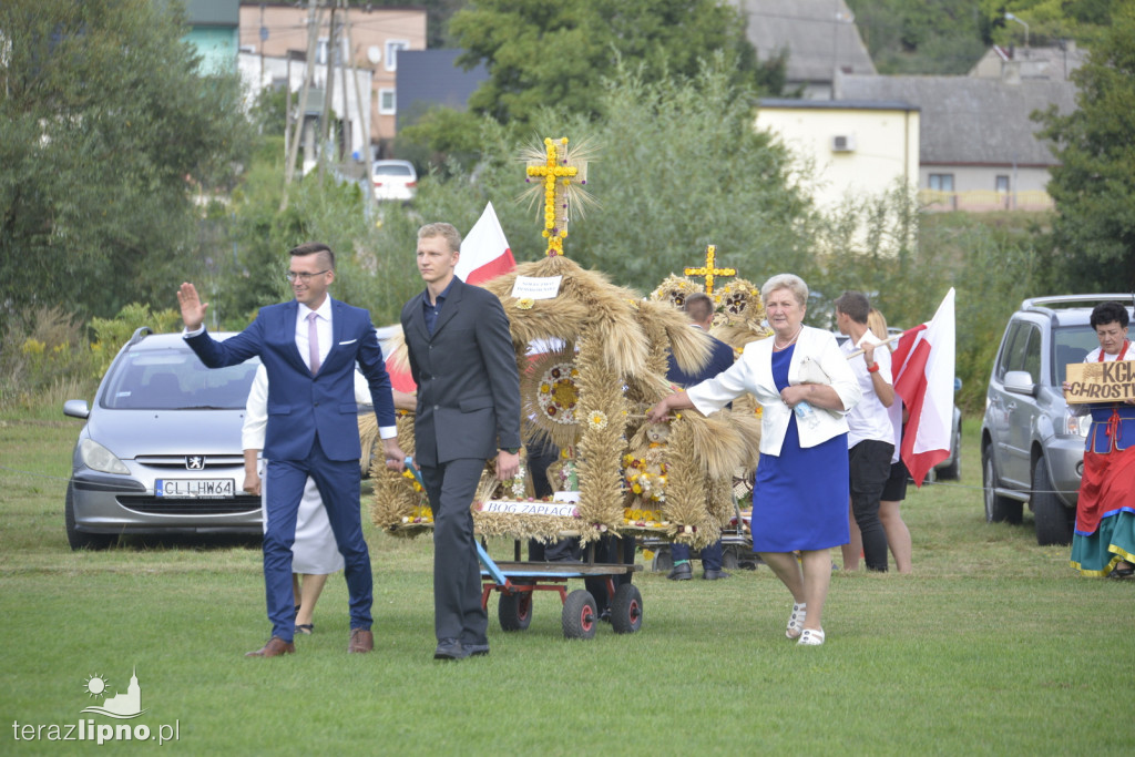 Powiatowe dożynki w Bobrownikach