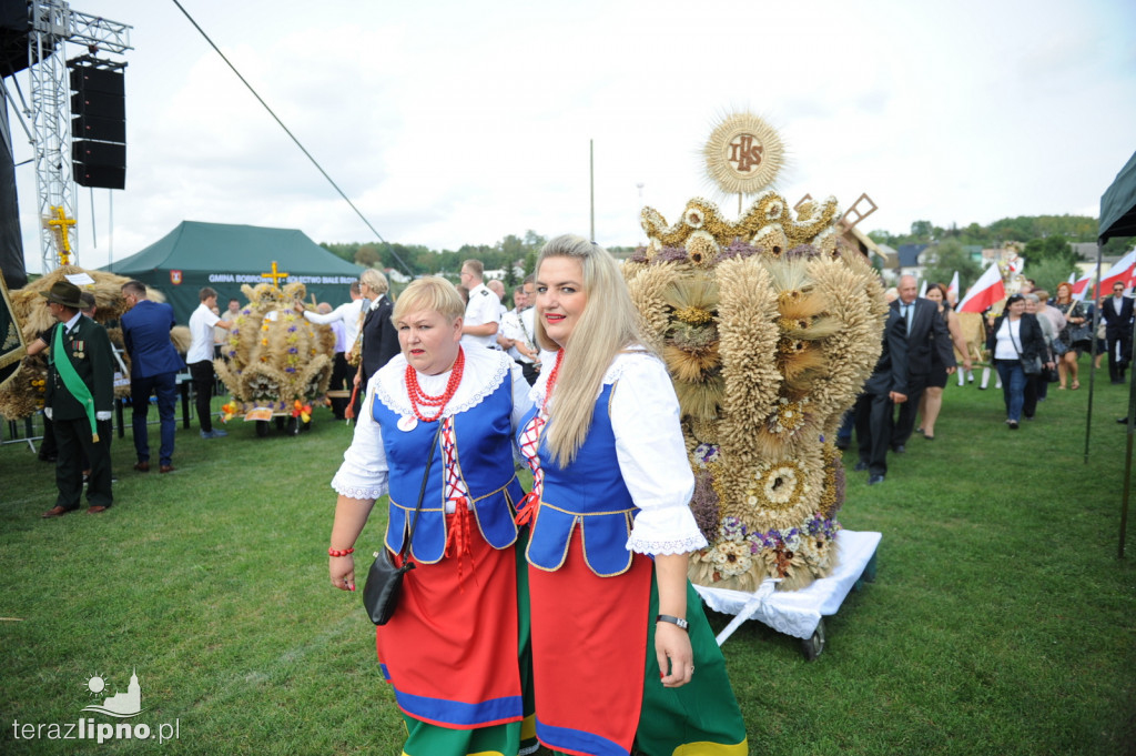 Powiatowe dożynki w Bobrownikach