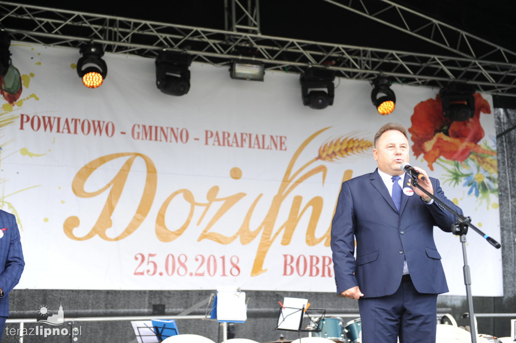 Powiatowe dożynki w Bobrownikach