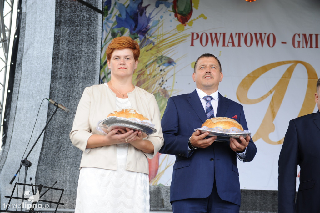 Powiatowe dożynki w Bobrownikach