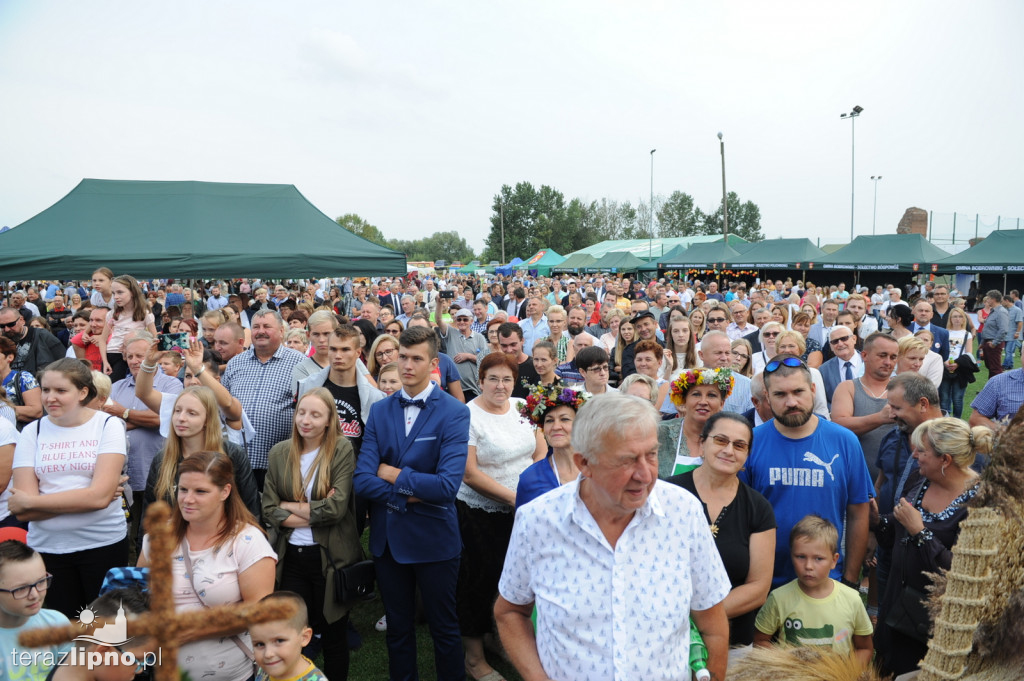 Powiatowe dożynki w Bobrownikach