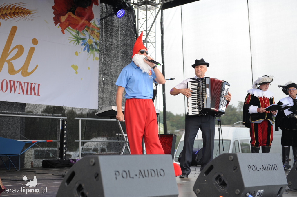 Powiatowe dożynki w Bobrownikach