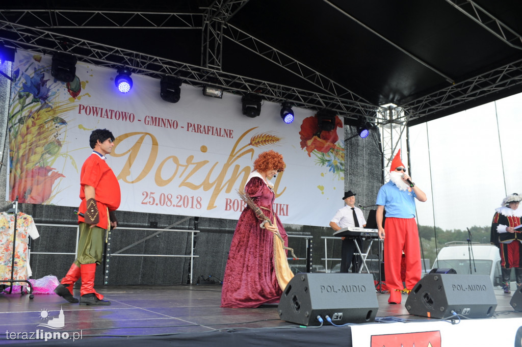 Powiatowe dożynki w Bobrownikach