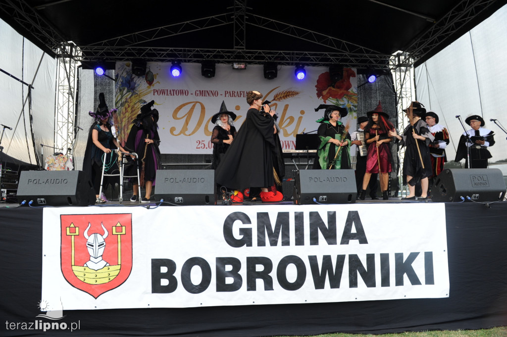 Powiatowe dożynki w Bobrownikach