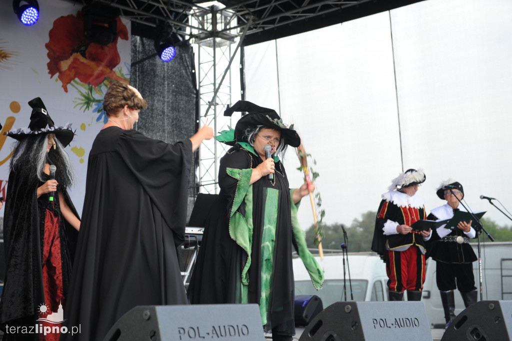 Powiatowe dożynki w Bobrownikach