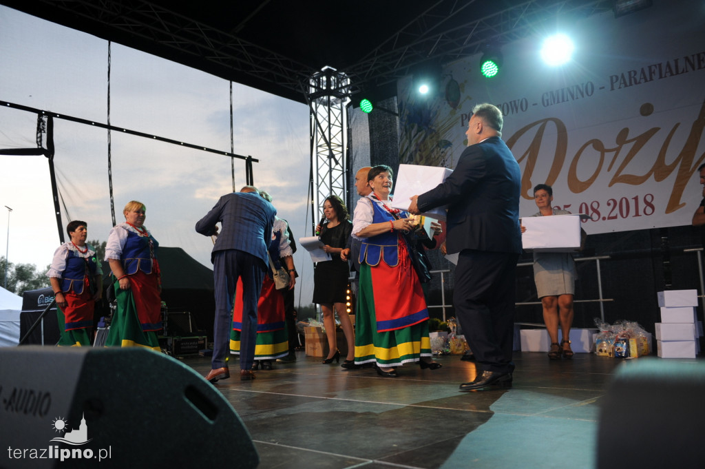 Powiatowe dożynki w Bobrownikach