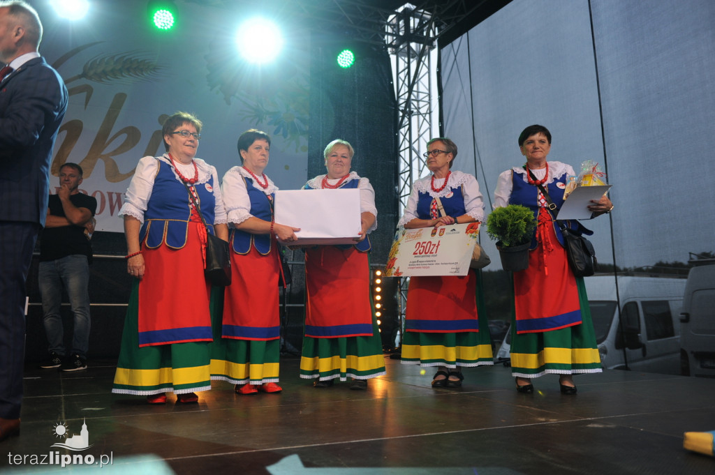 Powiatowe dożynki w Bobrownikach