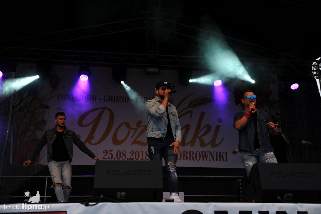 Powiatowe dożynki w Bobrownikach