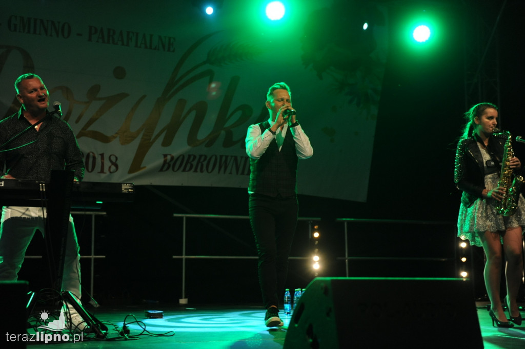 Powiatowe dożynki w Bobrownikach