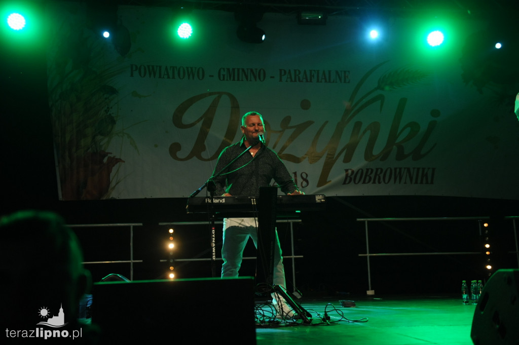 Powiatowe dożynki w Bobrownikach