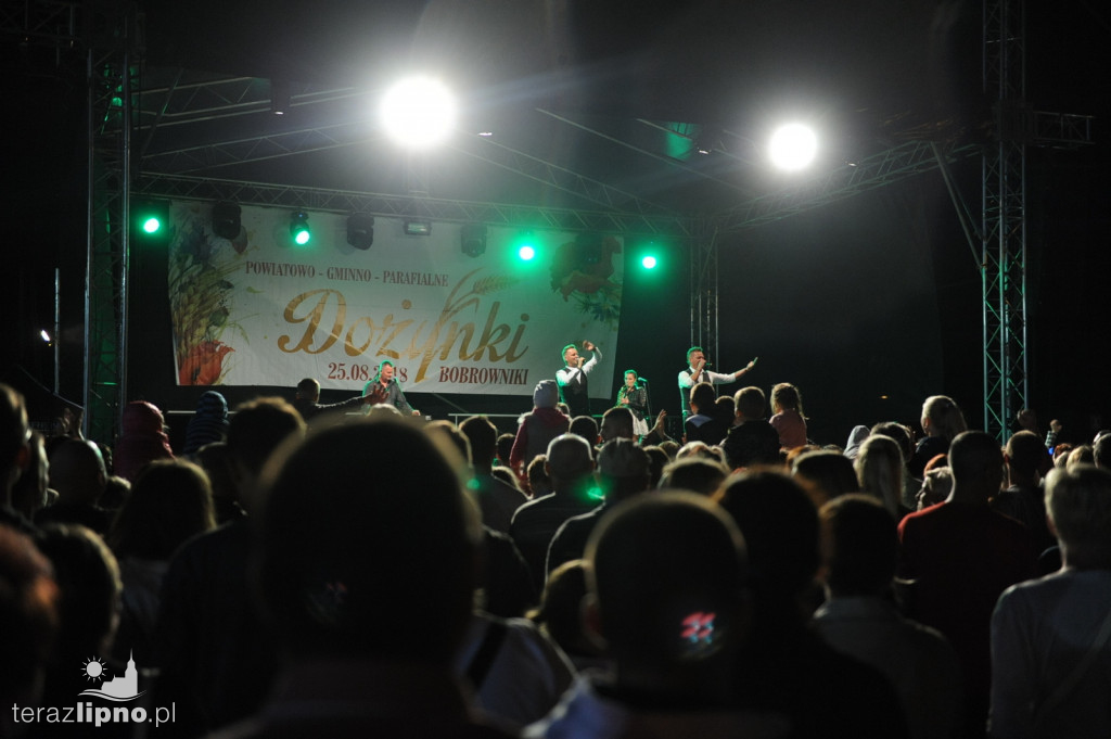 Powiatowe dożynki w Bobrownikach