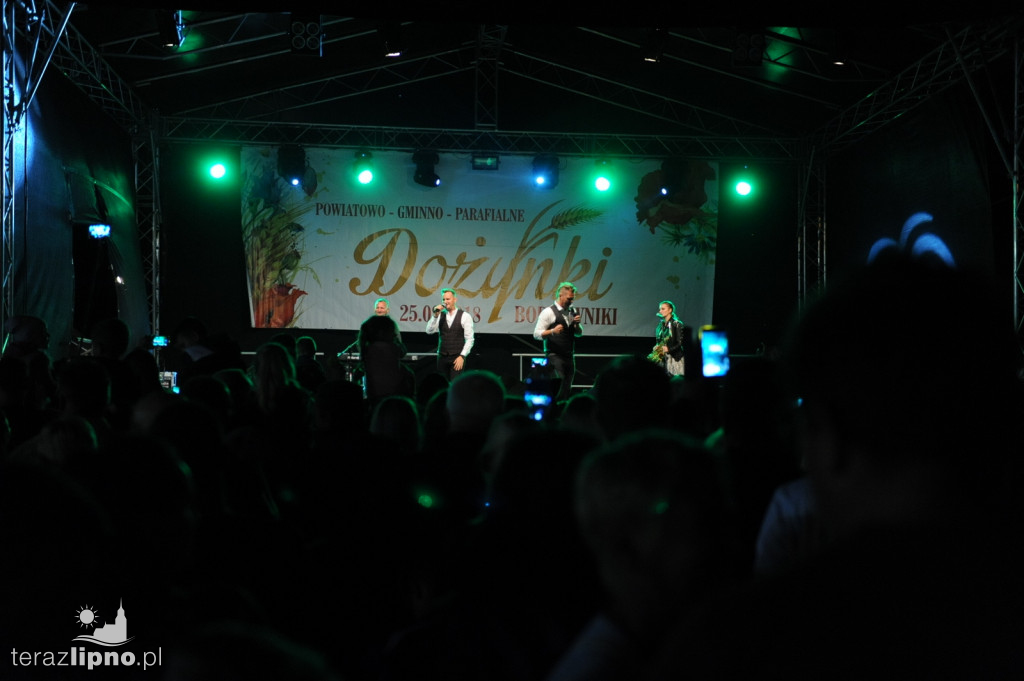 Powiatowe dożynki w Bobrownikach
