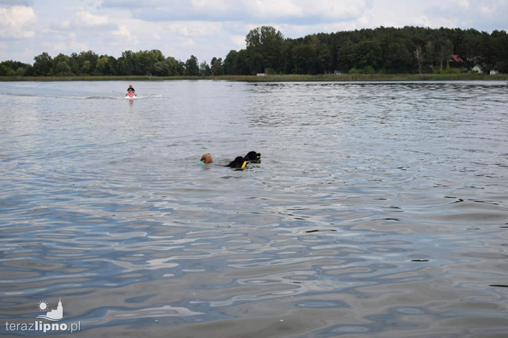 Warsztaty czworonogów w Skępem